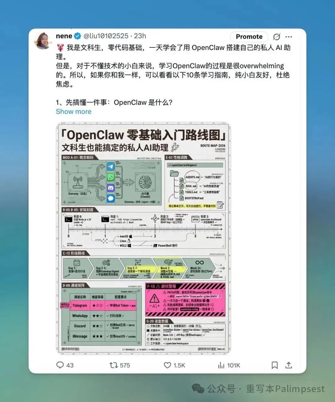 nene&rsquo;s skill example